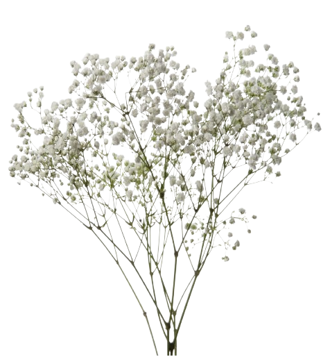 bunch of flowers