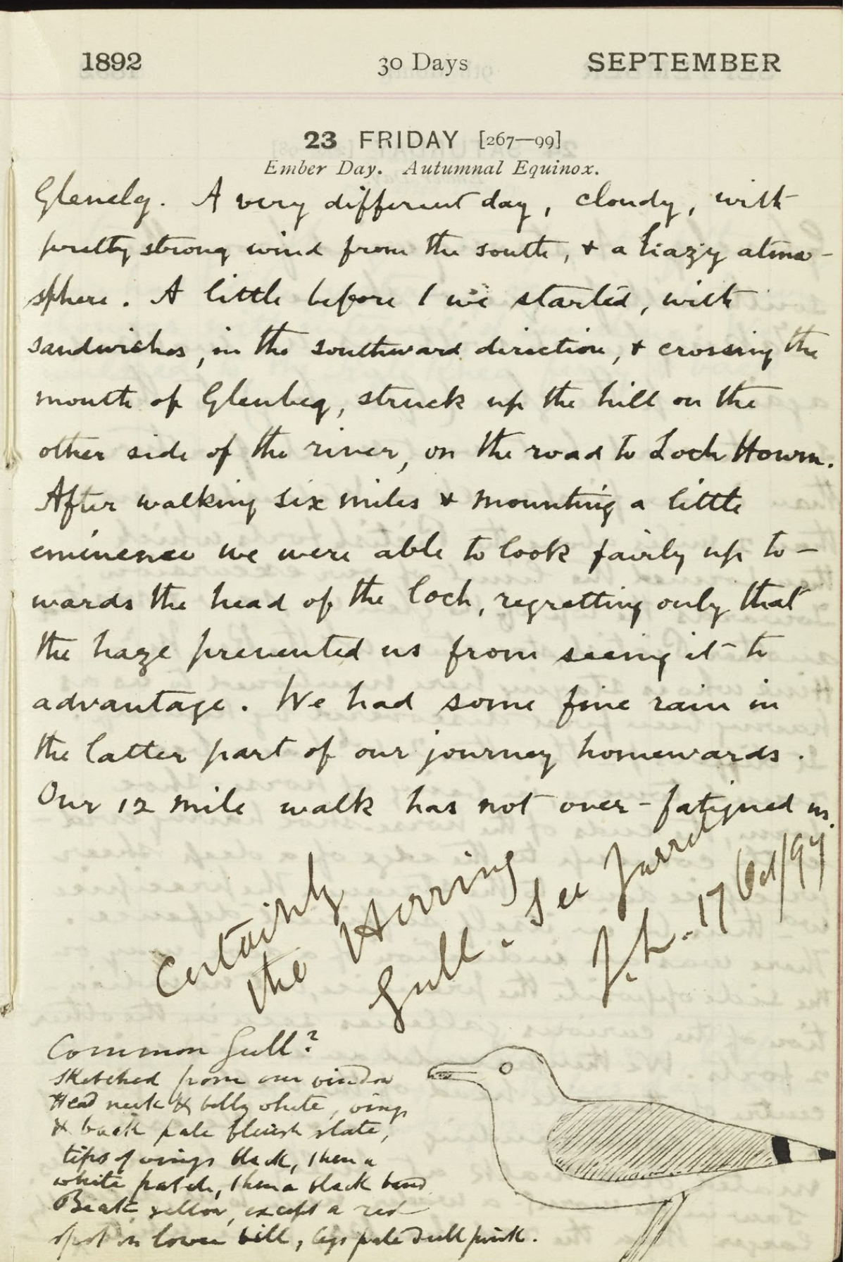 page from some random person's journal